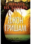Сянката на чинара