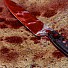 Българинът, отсякъл главата на британка, чувал гласове