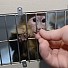 Бийбър има 4 седмици да си върне любимата маймуна