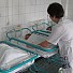 Британка с 16 деца иска още по-голямо семейство