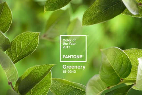 Pantone/ Instagram