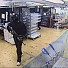 Гузен крадец се разплакал по време на обир