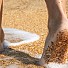 Ходене на босо – фитнес за тялото, релакс за стъпалата