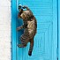 Котарак избяга секунди преди да бъде кастриран