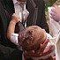 Кръщението е едно от най-светите тайнства