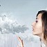 Митове и факти за пътуването със самолет