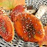 Отровни гъби