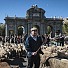 Парадът на овцете премина през Мадрид