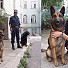 Спасиха 3-годишно дете с помощта на полицейски кучета