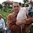 Свински бели дробове ще бъдат трансплантирани на хора