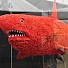 В Уелс няма търсене на борци с акули