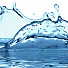 Водата – здраве във всяка капка