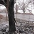 Автобус се преобърна край Одрин, има ранени българи